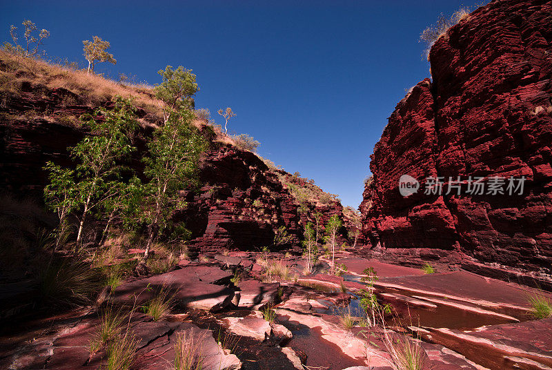 Dale Gorge Karijini国家公园小溪